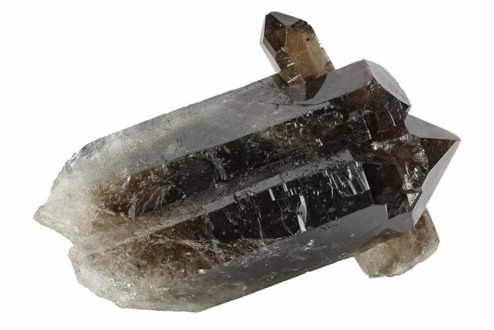 Dark Smoky Quartz Crystal Cluster - Brazil #124573
